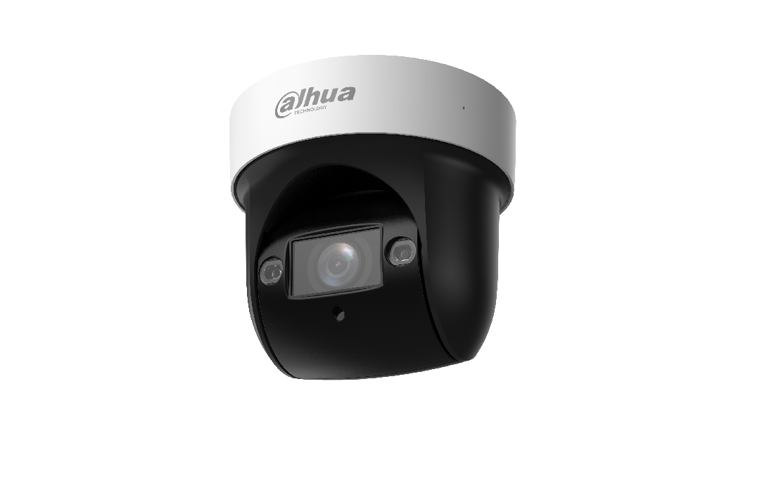 Dahua PTZ NTW IP CAM 4MP  SD29404DB-GNY