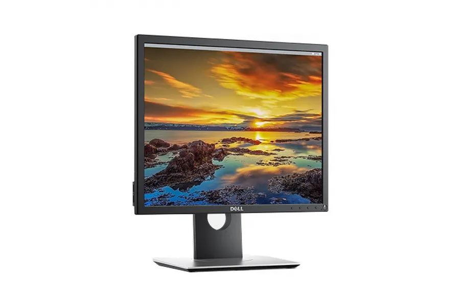 Dell 19 Monitor - P1917S - 48cm(19) Black EURC