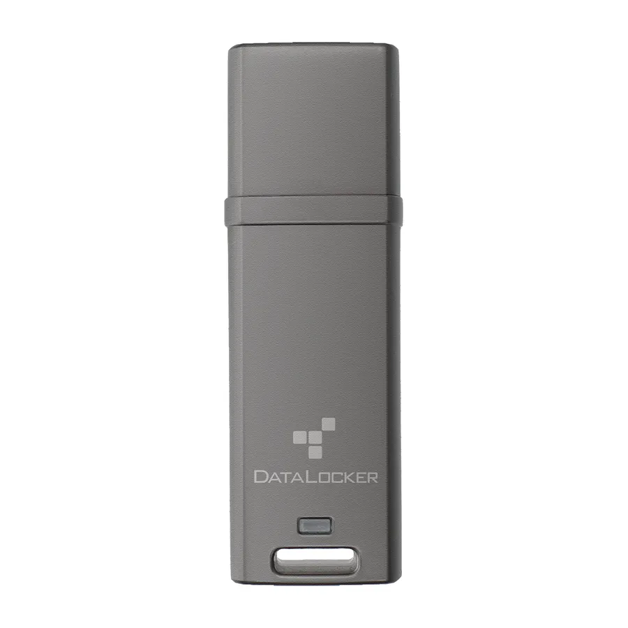 DATALOCKER 64GB DL GO 256BIT/AES XTS USB-STICK FIPS 197 MFA