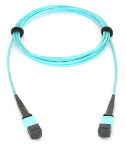 40G MTP CABLE FOR AT-QSFPSR 1M/990-003662-00