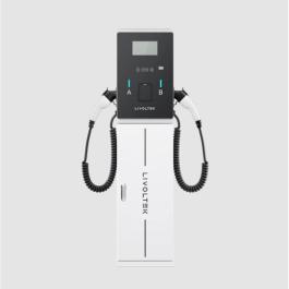 LIVOLTEK AC EV Charger 2*22kW, 4G/BLE/Ethernet, no POS, Cable 5m
