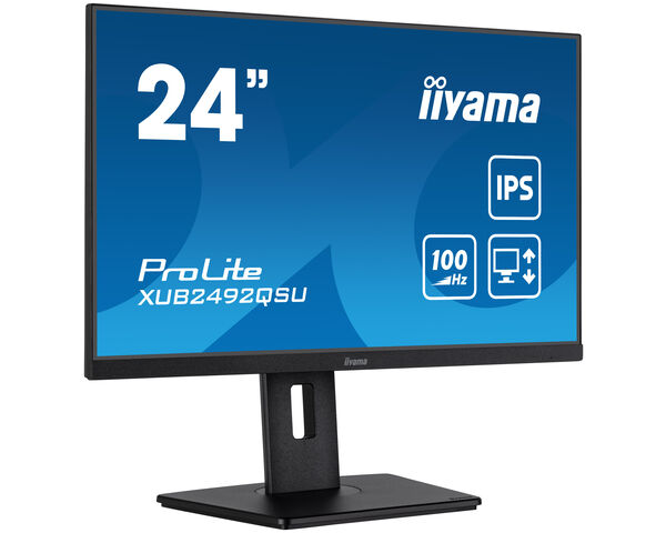 iiyama TFT 23,8"/60,5cm iiyama ProLite XUB2492QSU-B1 *negru* 16:9