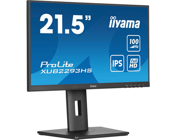 iiyama TFT 21,5"/54,5cm iiyama ProLite XUB2293HS *negru*
