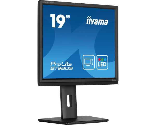 iiyama TFT 19,0"/48,3cm iiyama ProLite B1980S *negru* 5:4