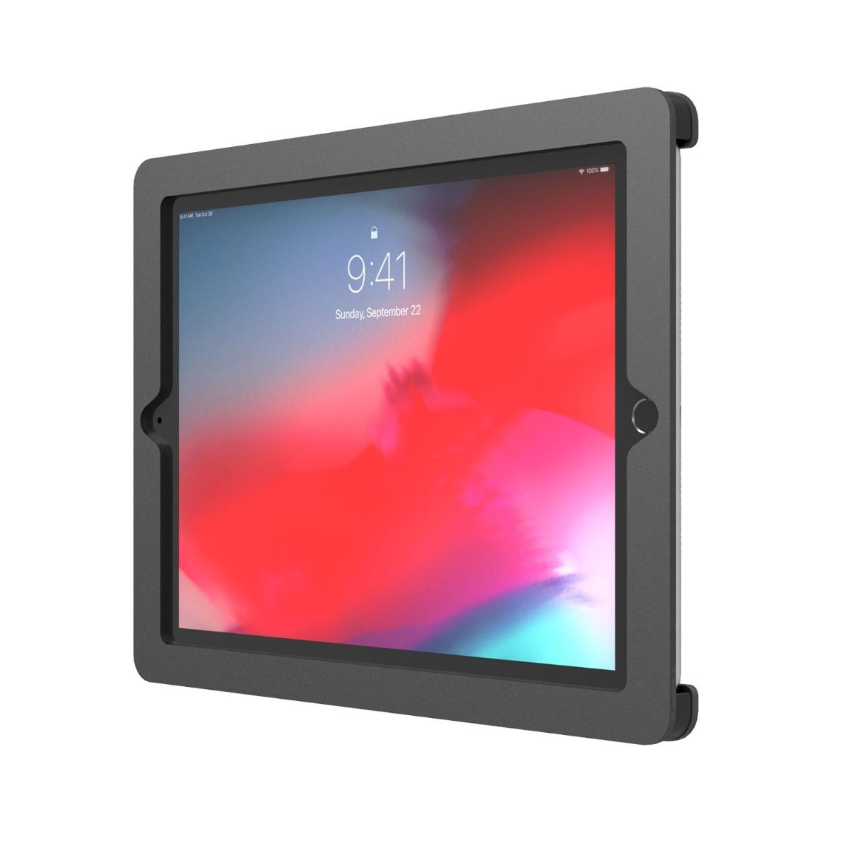 AXIS ENCLOSURE 10.2IN BLACK/.