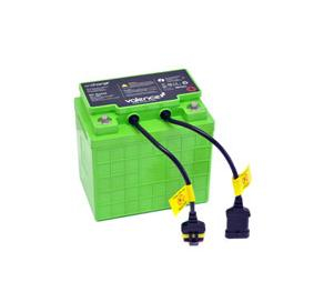 SV LIFE REPLACEMENT BATTERY/LITHIUM IRON PHOSPHATE 40 AH