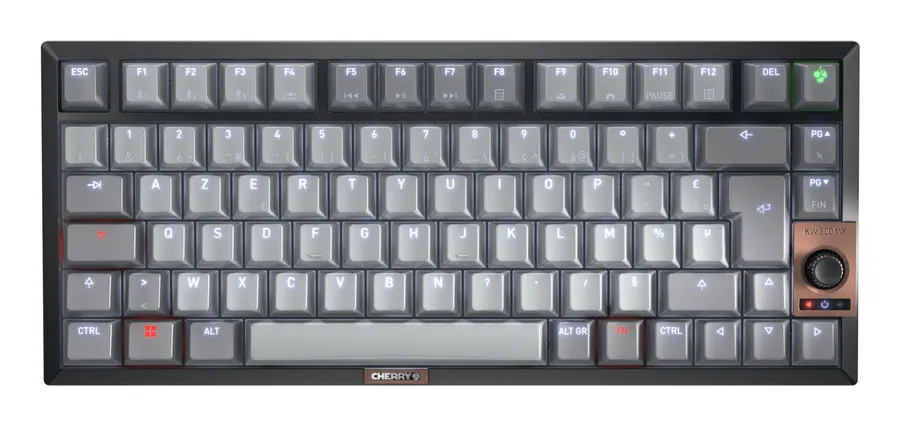 12033088/KEYBOARD WIRELESS MX 2A SILENT R