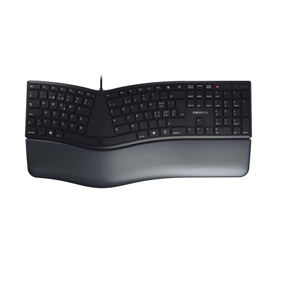CHERRY KC 4500 ERGO SWISS/