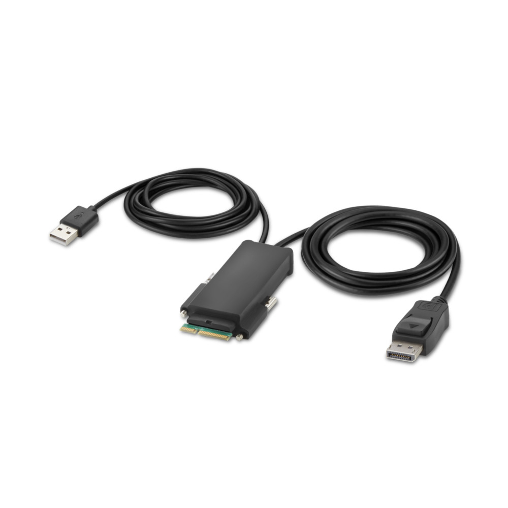 MODULAR DP SINGLE HEAD/HOST CABLE 6 FEET